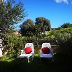 Sunny Garden House