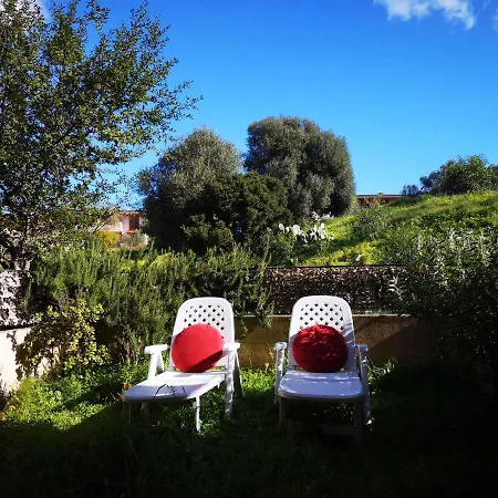 Sunny Garden House